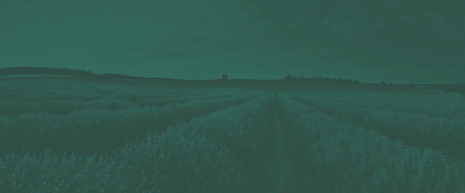 green-background