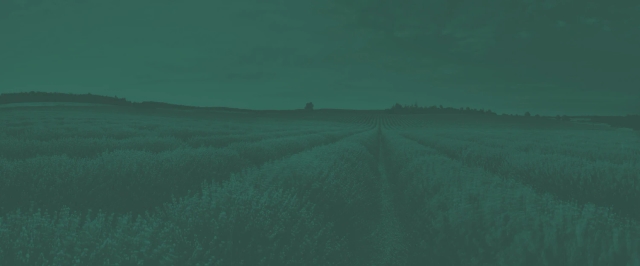 green-background